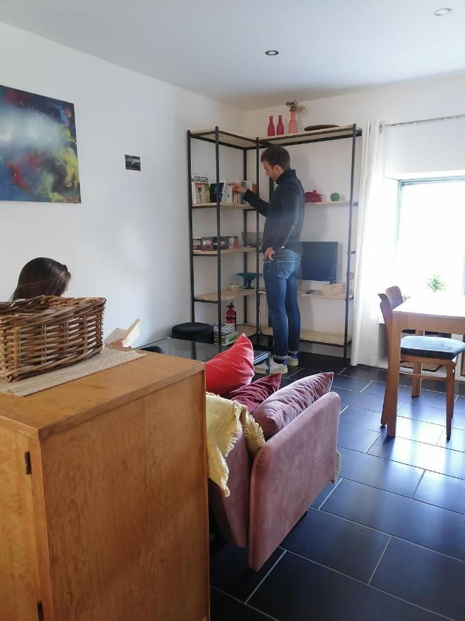 Gite La Maison La Saint-Aubin-d'Aubigne Dış mekan fotoğraf